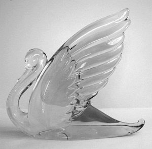 Swan